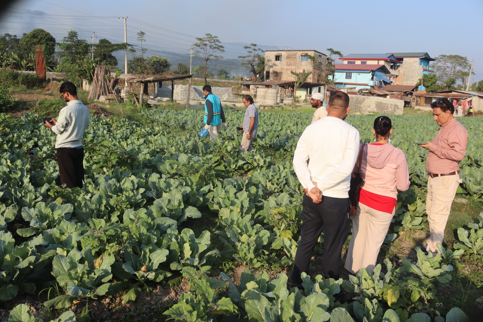 दुम्कौलीको तरकारी बारीमा कृषि विकास कार्यालय नवलपुरको अनुगमन