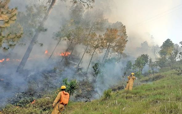 डोल्पामा आगो निभाउने क्रममा ४ सैनिक घाइते