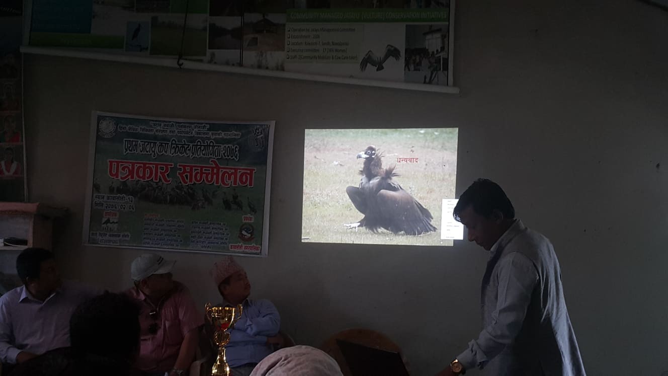 गिद्द संरक्षणका लागी चौका र छक्का !
