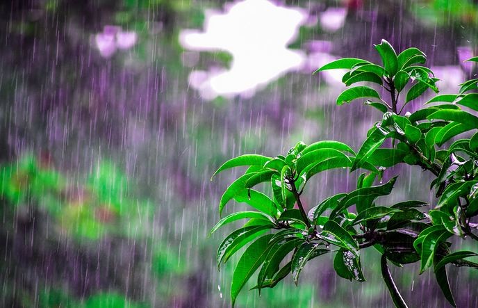 भित्रियो मनसुन, केही दिनभित्रै नेपालभर फैलिने