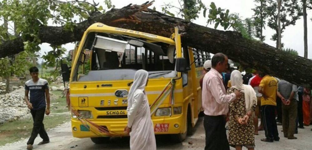 गुडिरहेको स्कूल बसमाथि रुख ढलेपछि….