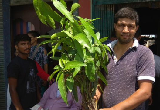 कृषकलाई फलफूलका बोटबिरुवा वितरण