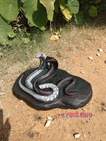 आज नागपञ्चमी नागको पूजाअर्चना गरी मनाईदैँ
