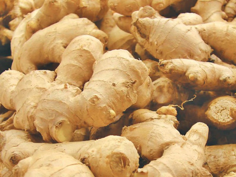 अदुवाको मूल्य अहिलेसम्मकै उच्च