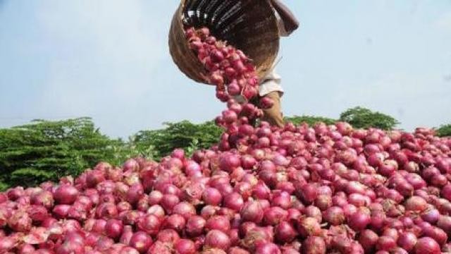 दशैंको मुखमा आकासियो प्याजको मूल्य