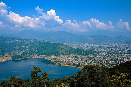 विश्वका पशु वैज्ञानिकहरुको भेला पोखरामा