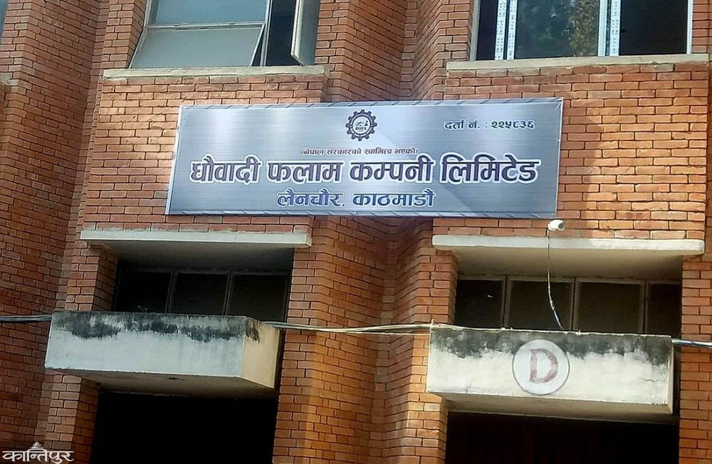धौवादी फलाम कम्पनी लिमिटेड गठन