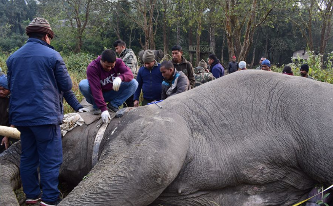 उपद्रो रोक्न घाँटीमा यन्त्र
