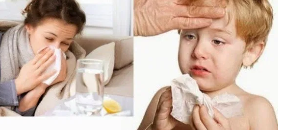 सिन्धुपाल्चोकमा रुघा, खोकी र ज्वरोको भाईरल फैलियो , कोरोनाका जस्तै लक्षण