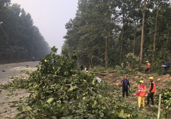 स्वामित्व विवादले रोकिएको बुटवल-नारायणगढ  खण्ड सडकमा पर्ने रुख कटान पुन: सुरु