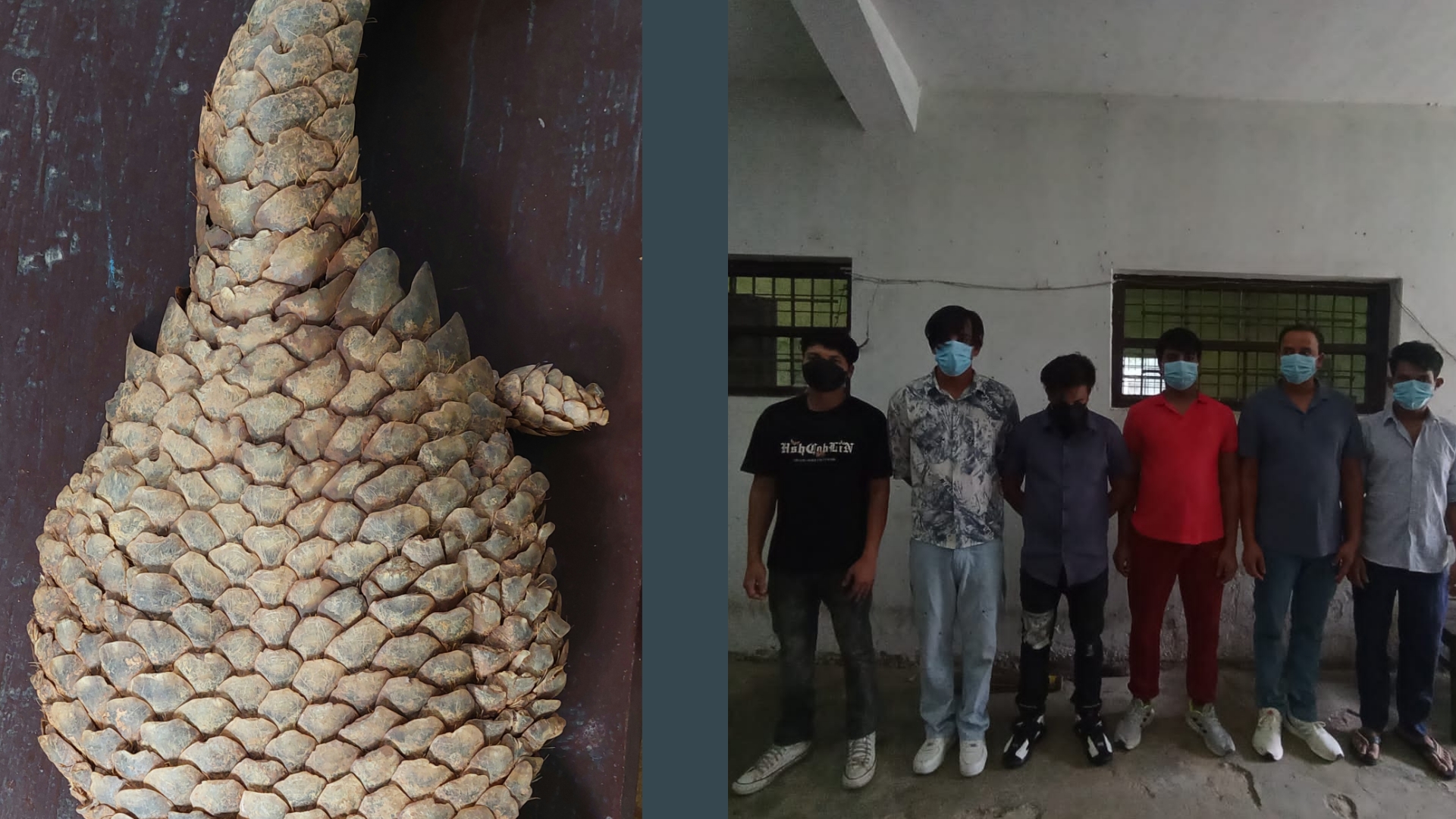 सालकको अखेटोपहार सहित ६ जना पक्राउ