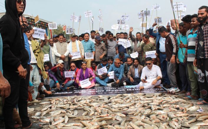 पूर्व-पश्चिम राजमार्गमा माछा फालेर किसानको प्रदर्शन