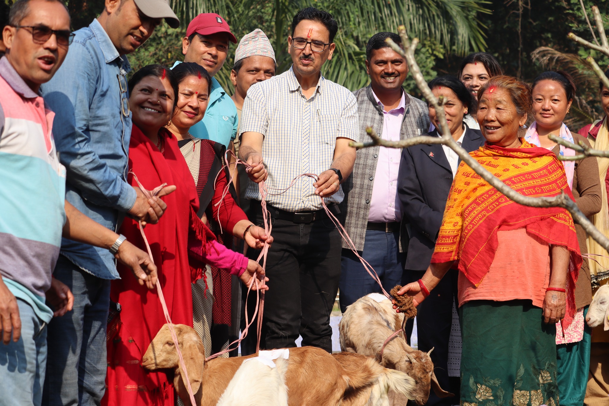 देवचुली १२ मा ४५ जनालाई बाख्राको पाठी वितरण