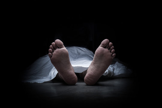 थोरङला पास गर्ने क्रममा लेक लागेर पर्यटकको मृत्यु