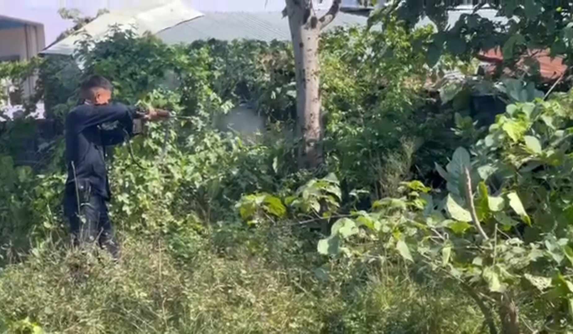 गैंडाकोटमा बलि दिने बेला राँगो डोरी छिनाएर भागे पछि गोली चलाएर नियन्त्रणमा
