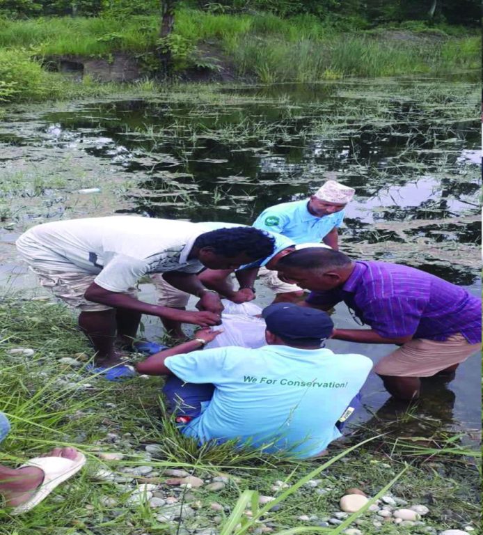 कावासोतीको सामुदायिक वनको पोखरीमा ३० हजार माछाका भुरा छाडियो