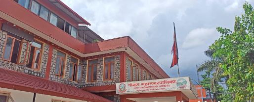 पोखराका सडक छेउ र खुला ठाउँमा २ लाख १८ हजार विरुवा रोपिने