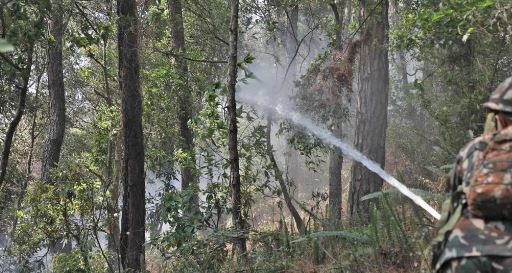 डढेलो निभाउँदा मृत्यु भएकाको परिवारलाई गोदावरीले ५/५ लाख दिने