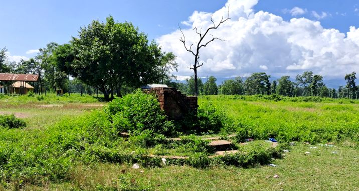 कावासोतीमा नमुना सदरमुकाम बनाउन रुख काट्न अनुमति