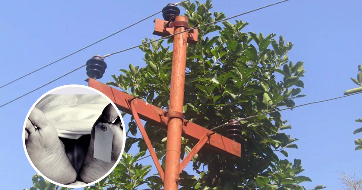 नवलपुरमा करेन्ट लागेर एकजनाको मृत्यु