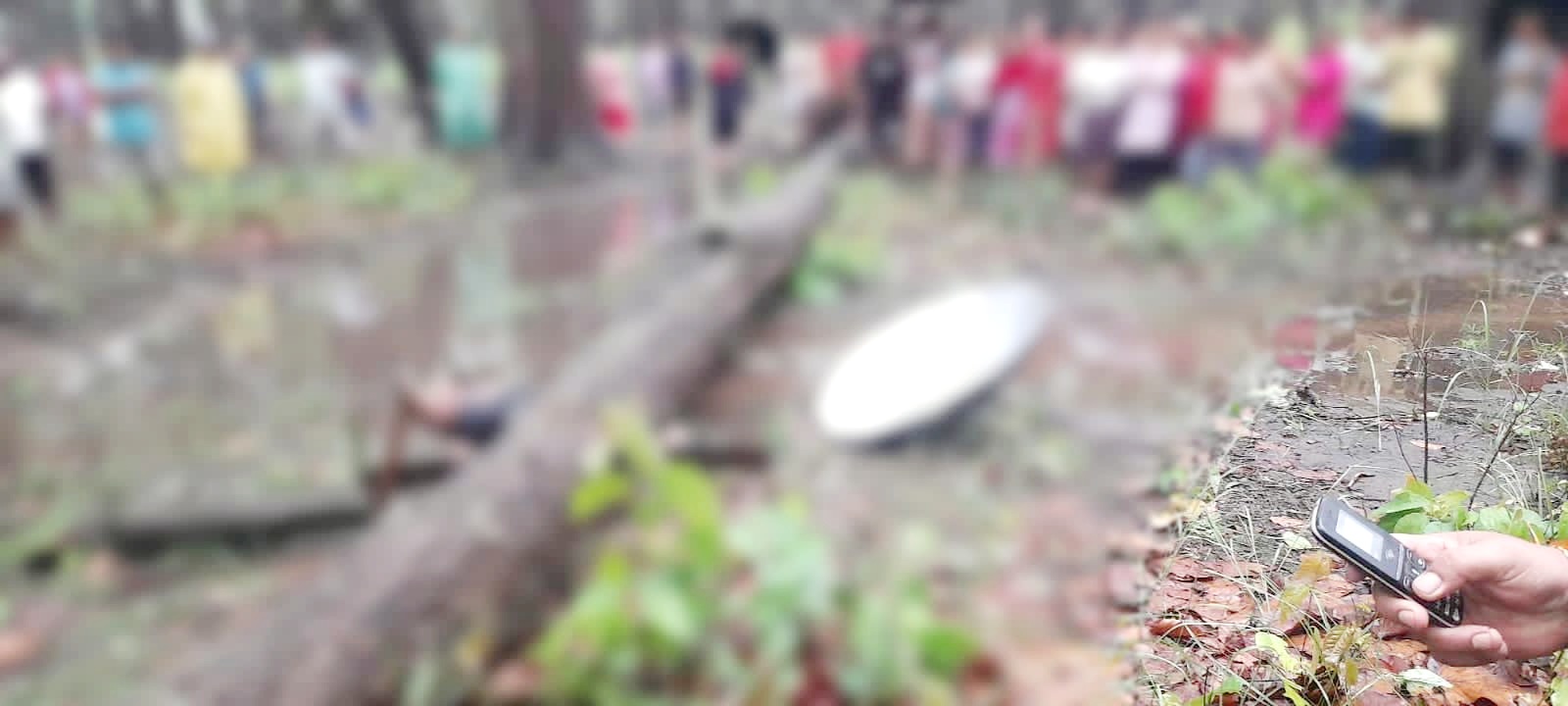 मध्यविन्दुमा हावाहुरी लाउँदा रुखले च्यापिएर एकजनाको मृत्यु