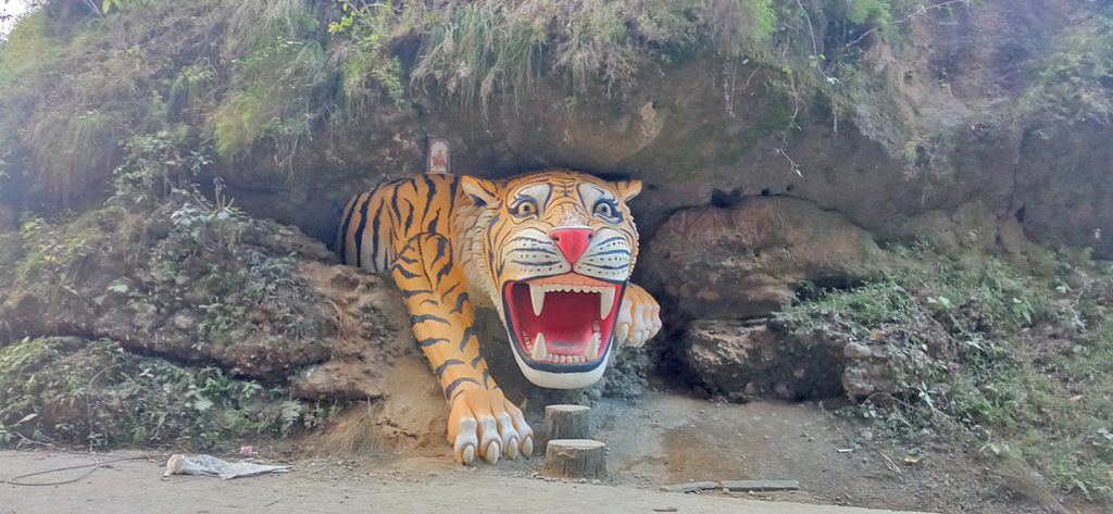 कालीगण्डकी किनारमा पर्यटकलाई लोभ्याउँदै बाघको मूर्ति
