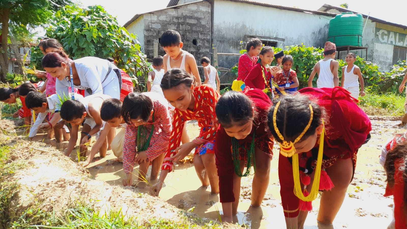 दिव्य एकेडेमी केउरेनीमा असार १५ बिशेष कार्यक्रम सम्पन्न 