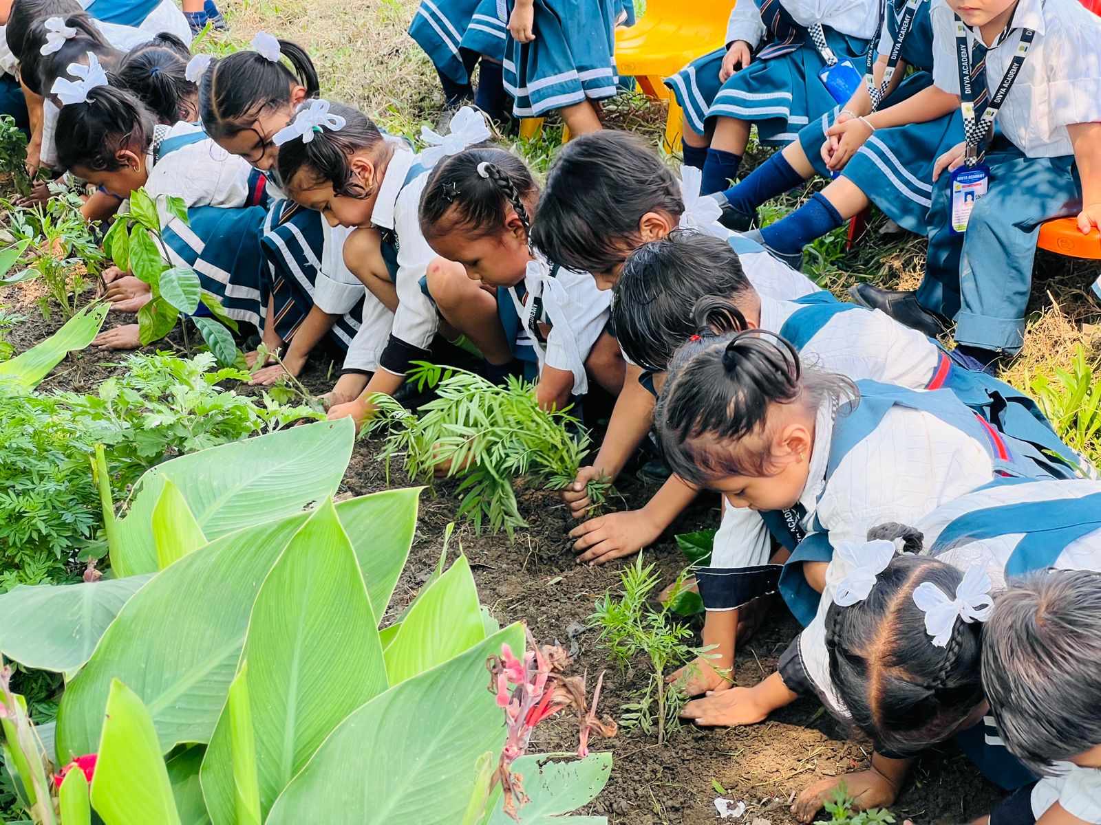 विश्व वातावरण दिवस: दिव्य एकेडेमी देवचुलीमा वृक्षारोपण गरियो 