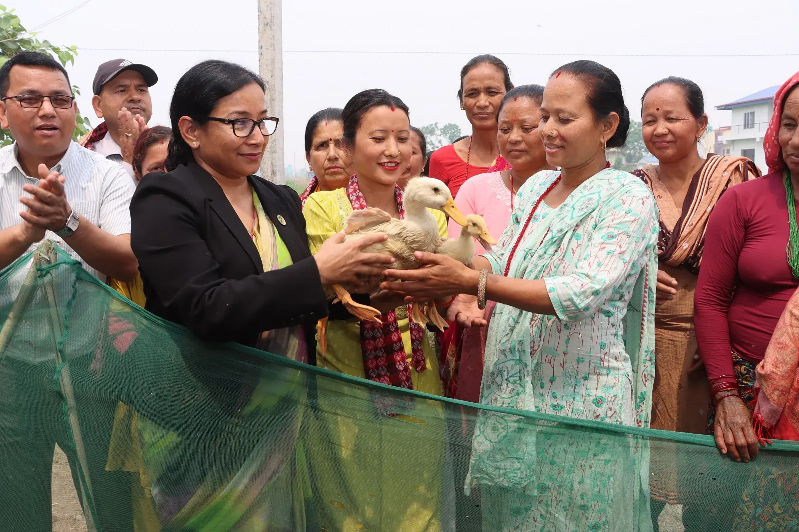 भरतपुर महानगर प्रमुख रेनु दाहालले ३९ किसानलाई बाडिन् बाख्रा र हाँसको चल्ला