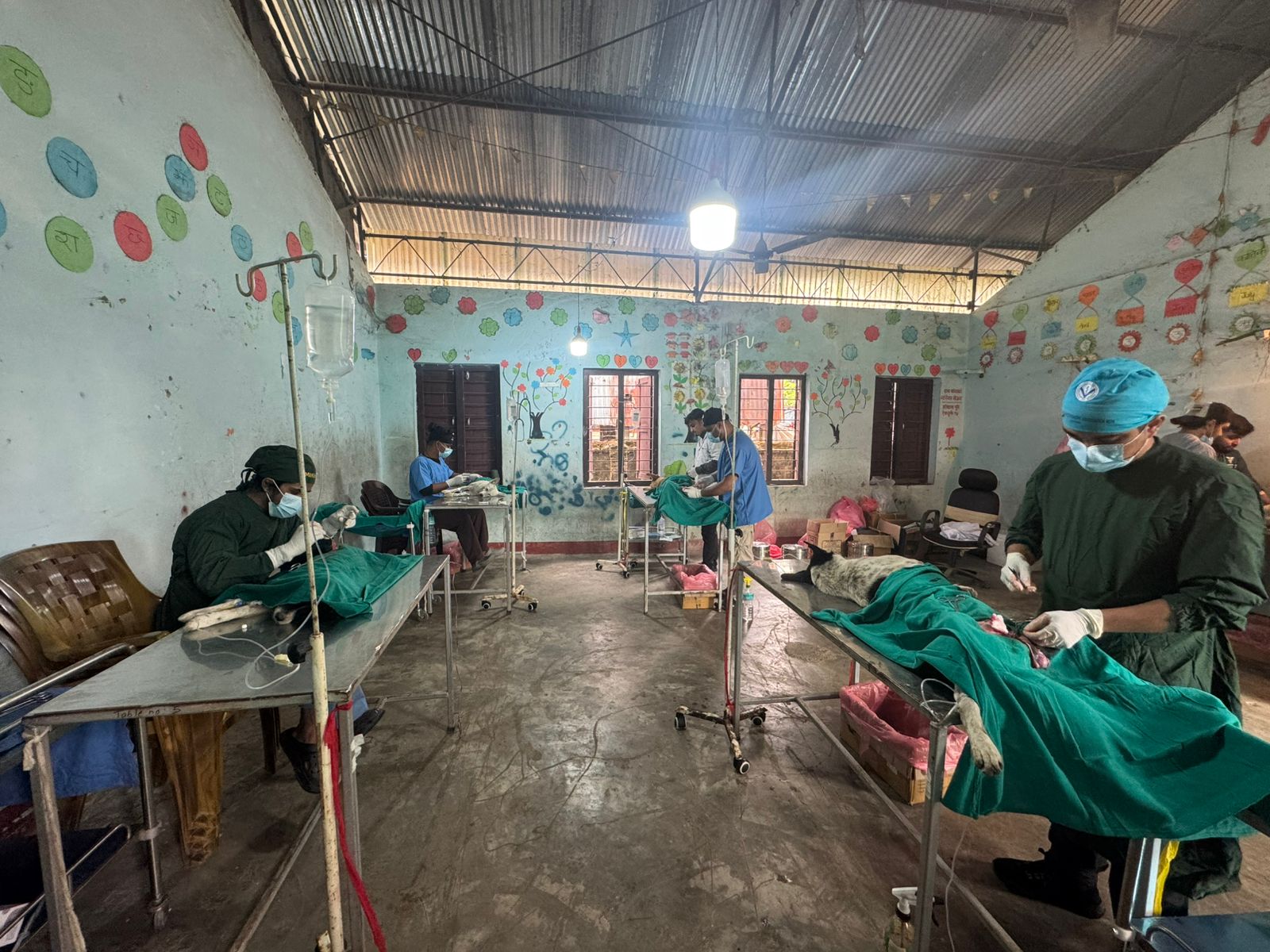 देवचुलीमा कुकुरहरुको बन्ध्याकरण कार्यक्रम सम्पन्न