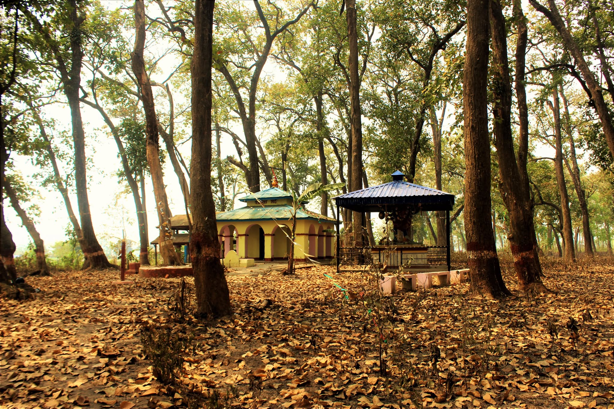 रजहरमा तीन दिने धार्मिक अनुष्ठान हुँदै