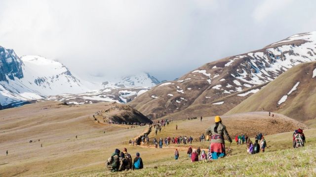 मनाङबाट ३२ किलो यार्सागुम्बा निकासी